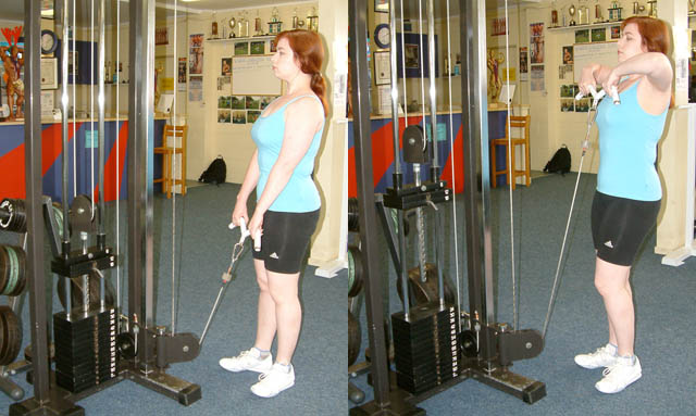 Best Cable Machine For Low-Ceiling Home Gym
